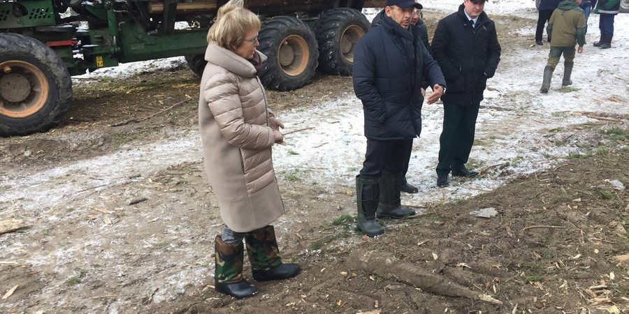 Томские депутаты