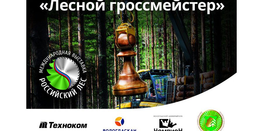 Баннер_шахматный турнир — копия