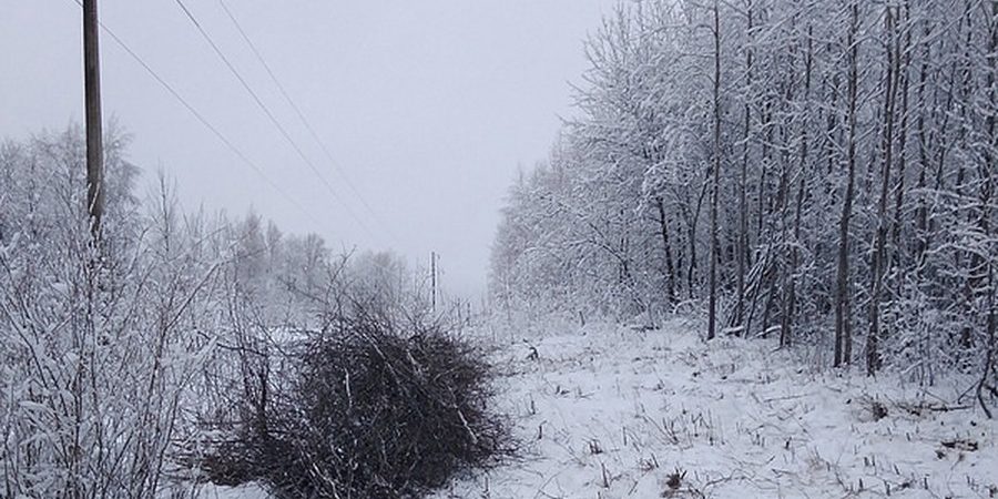 мрск сиб