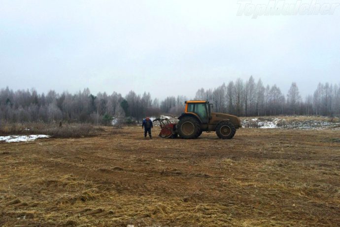 мираторг
