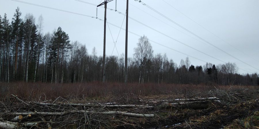 вл1